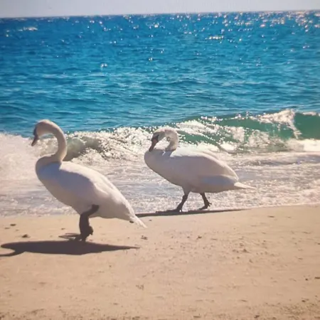 La Dimora Di Anna Apartment *